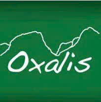 z6695392241712_4194d7da9307ff4f4c7b43aa754ba834